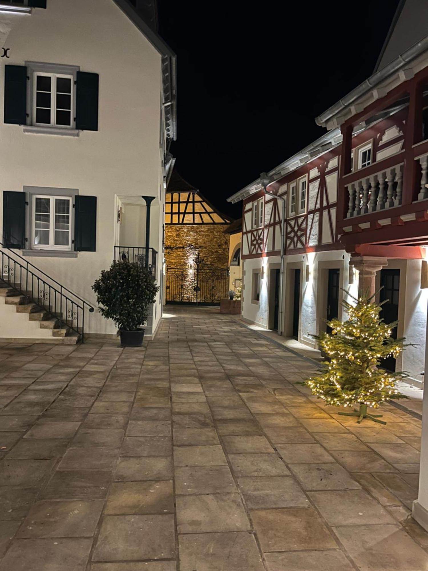 Karlbacher Domizil Ferienwohnungen Grosskarlbach Dış mekan fotoğraf